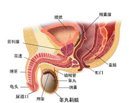 手淫过度