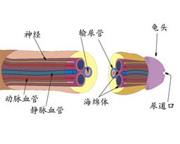 死精症